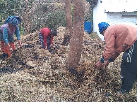 Bansudi village eight piles of charred grass